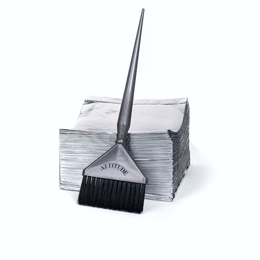 Professional Hair Colouring Brush